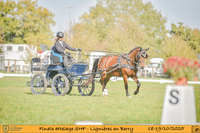 Championnat Jeunes chevaux 2025
